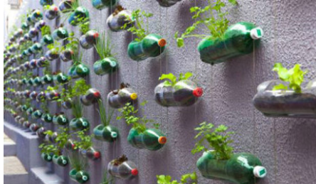 10 ý tưởng thiết kế nhà đẹp với vườn treo cực độc